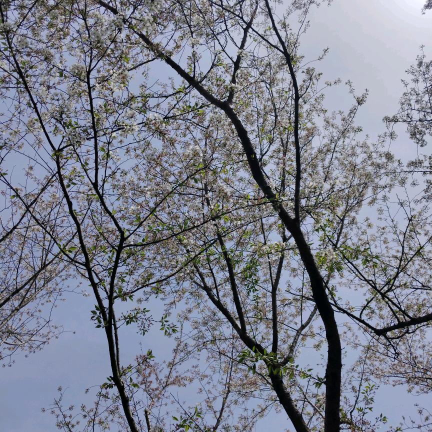 衣然。。自我