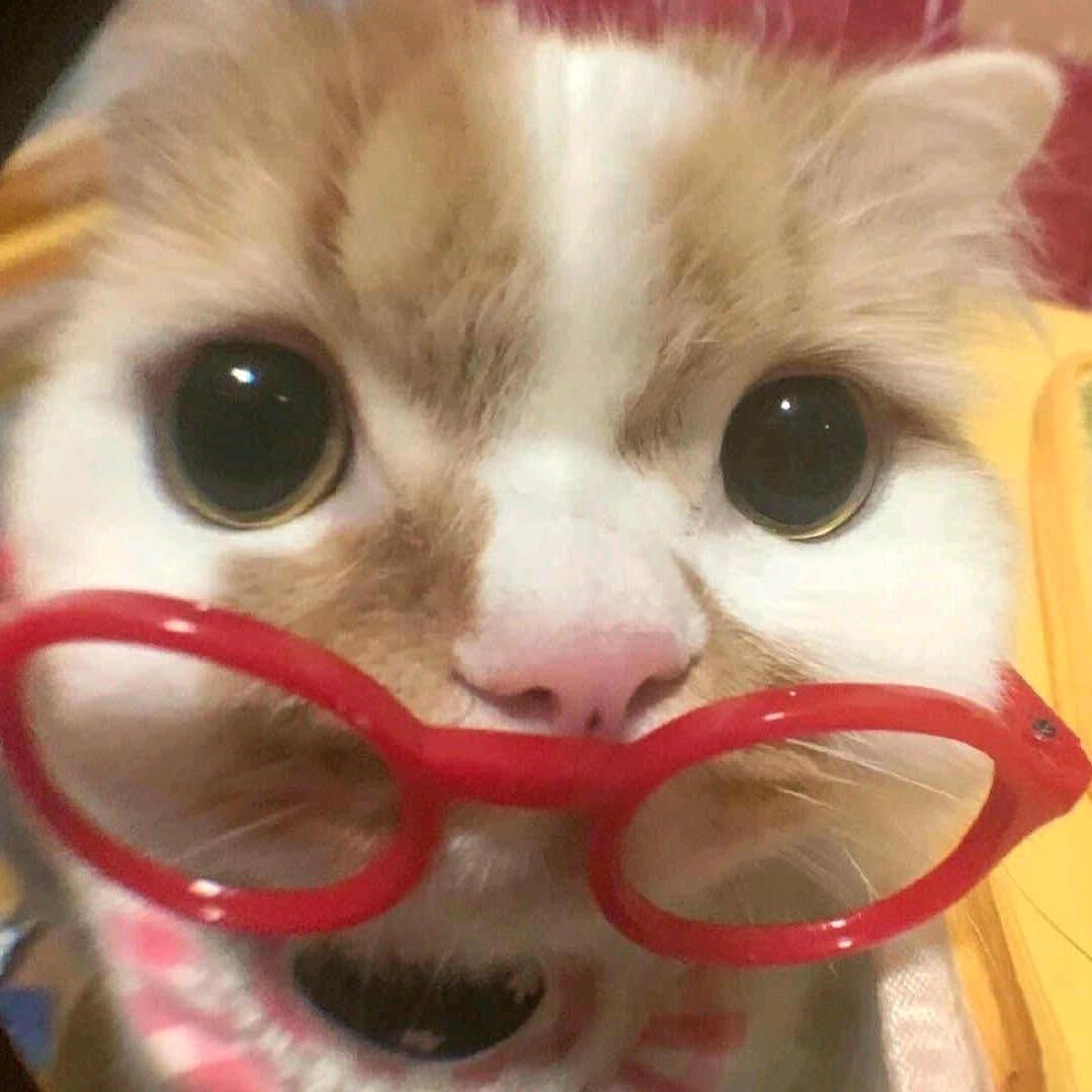 油条