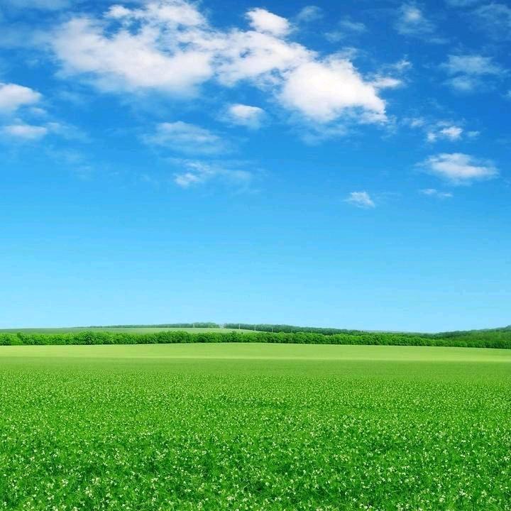 奋斗