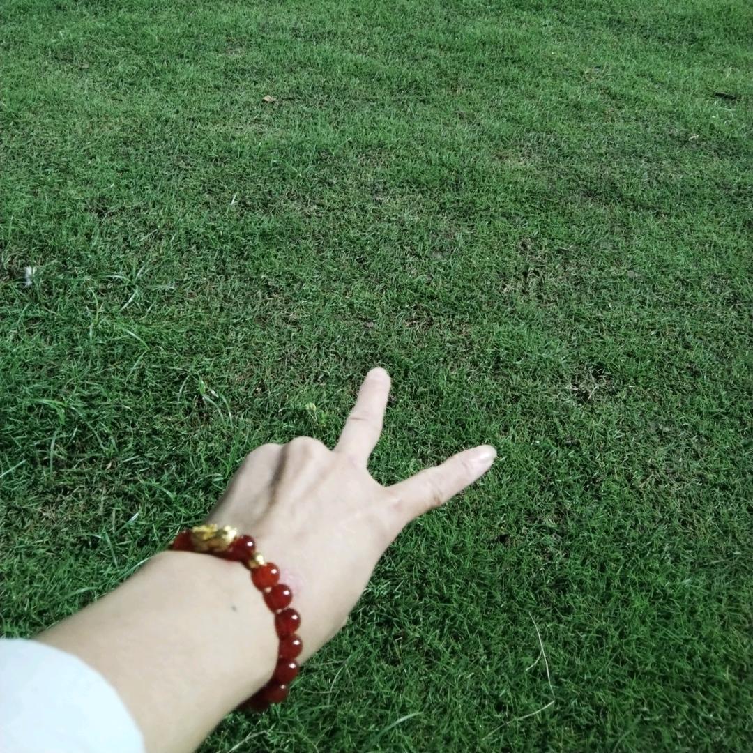 @༊ღ不念过往@໑ຼₒ₂2