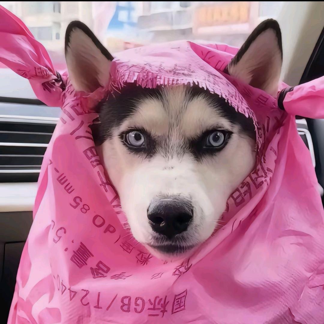 我呀未来可期