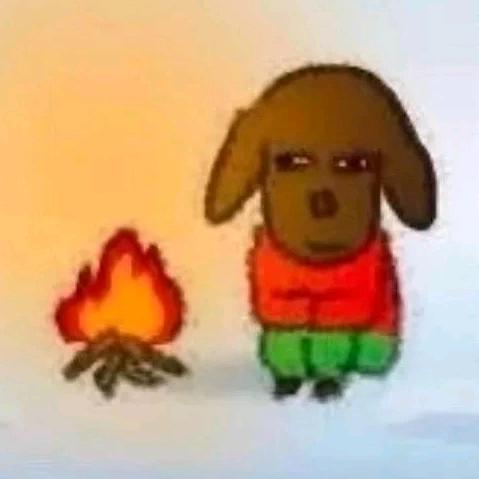 AAAA致力于让全世界种满香菜的农民倩