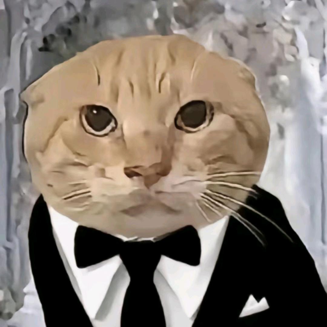 超级无敌大🍟fries