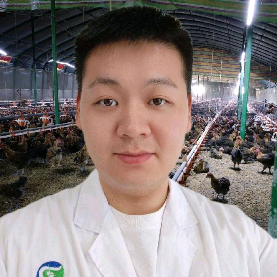 东东禽医牛哥～养鸡技术指导