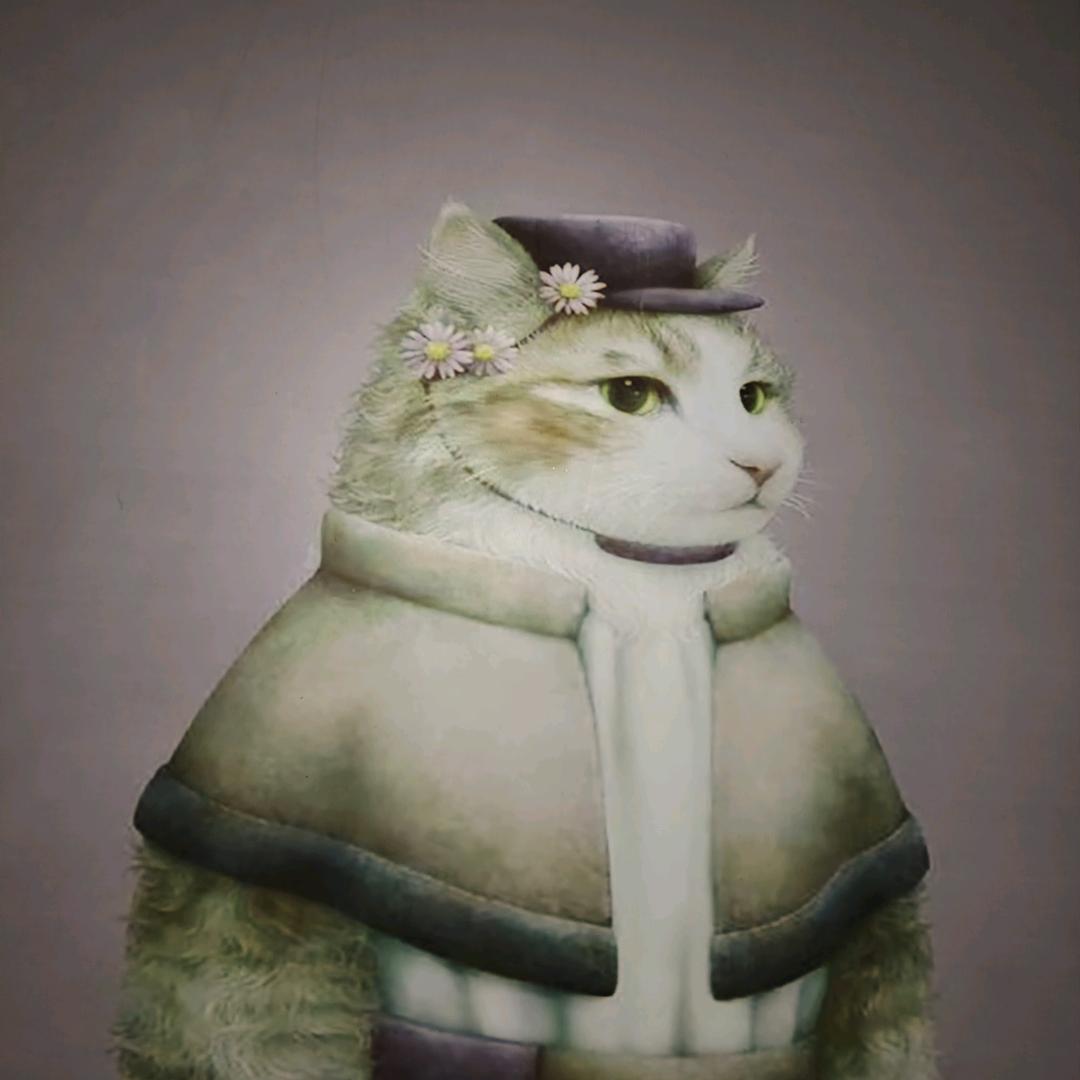 狂猫🐱