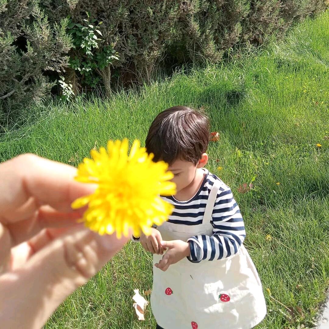 🌷