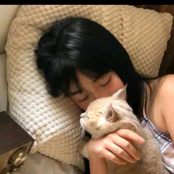 凌晨一点的猫