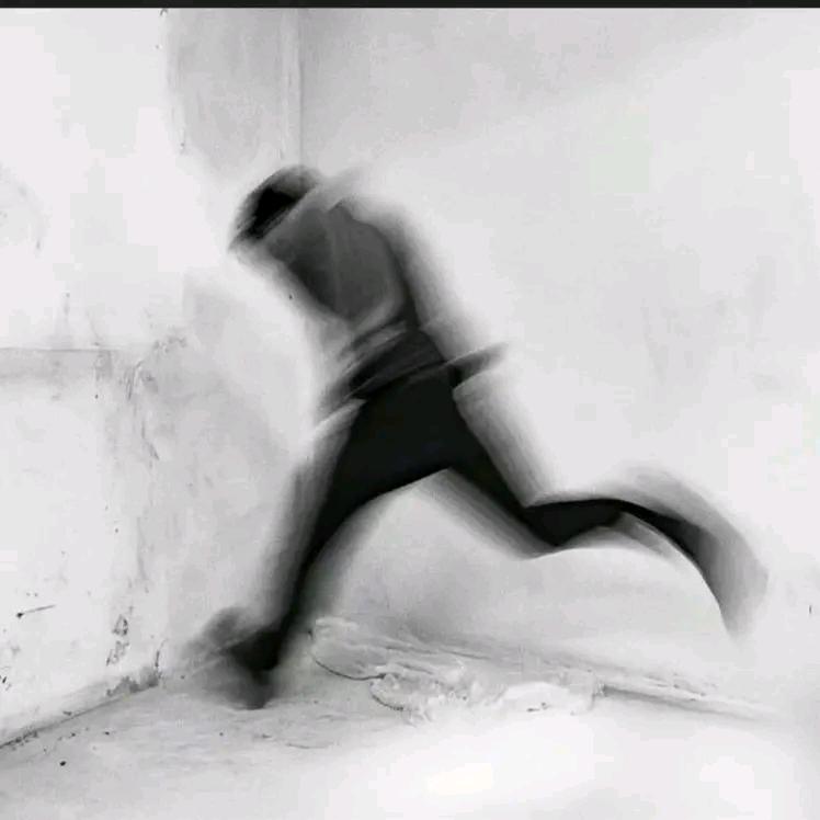 铭小鱼
