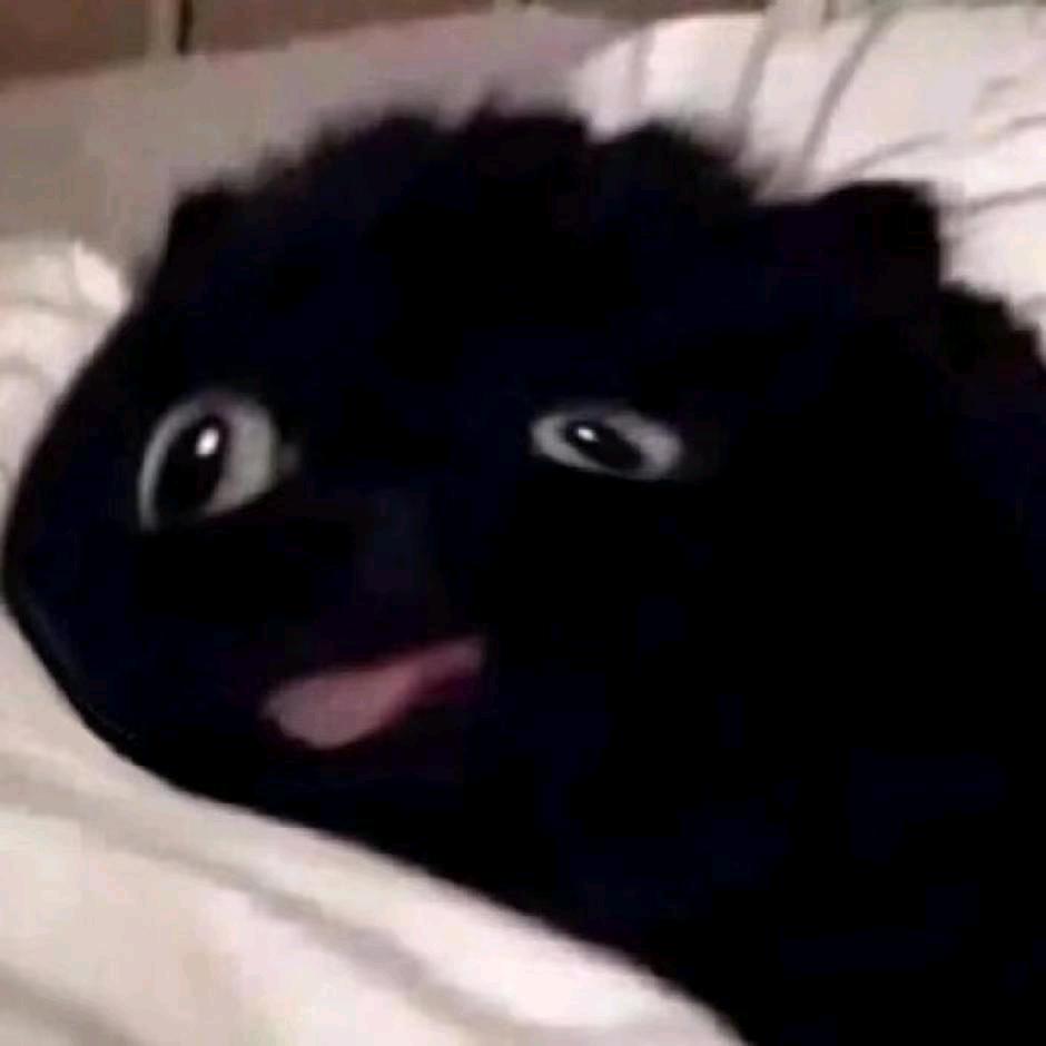 不信
