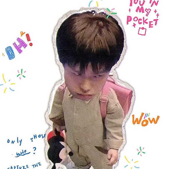 大头鲨（小号）