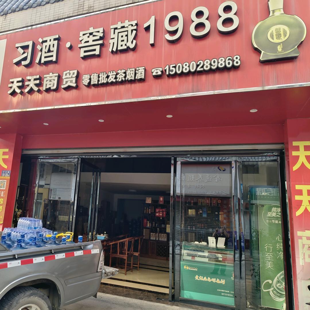 一天一泡茶