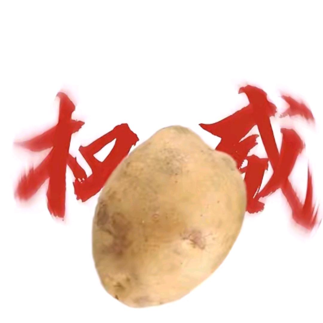 倾城倾国