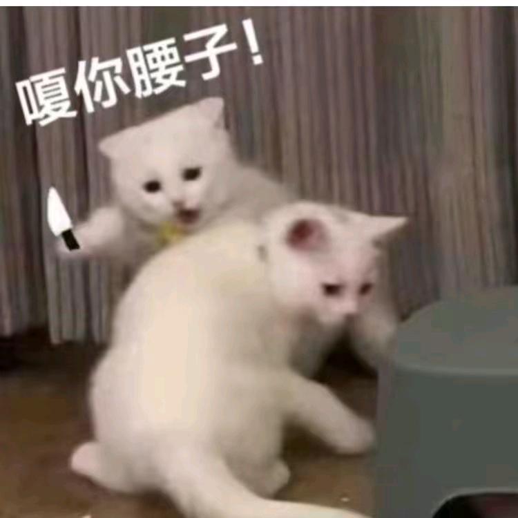 康师傅（煤球味）