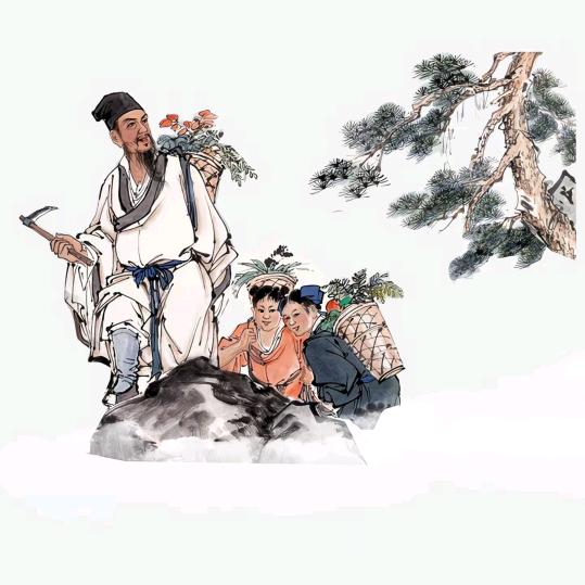 中药材大全♥(中药源头)