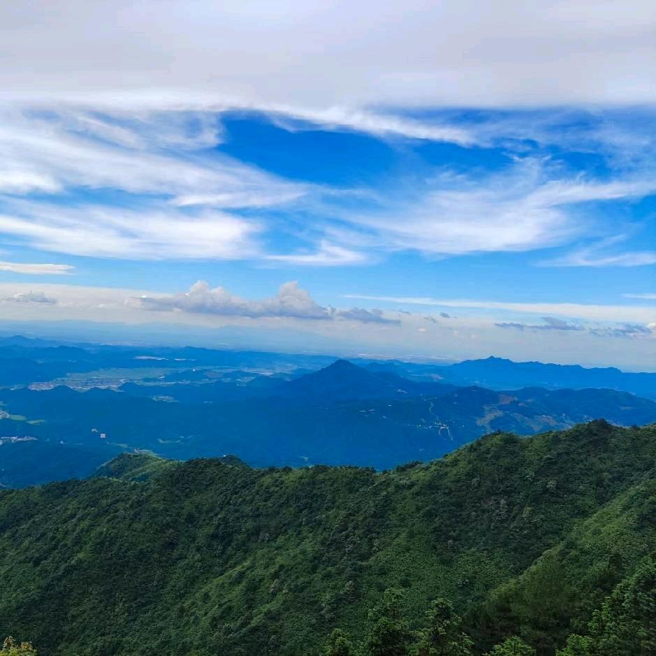 勤劳牛牛在线🦆车🦆房