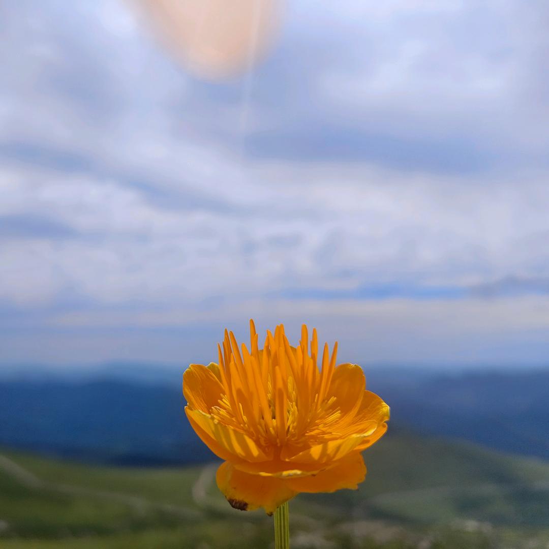 祁梦