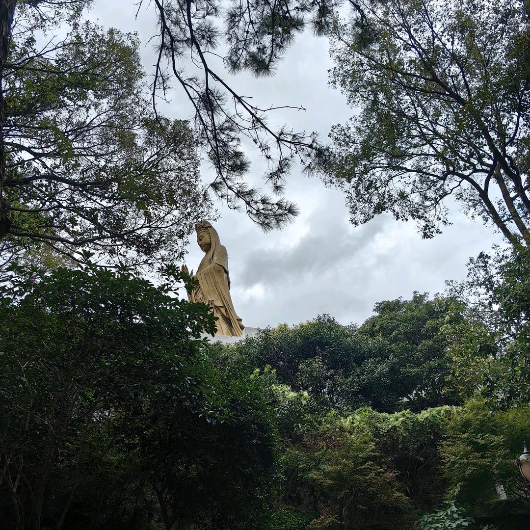 🦄微笑释然💞