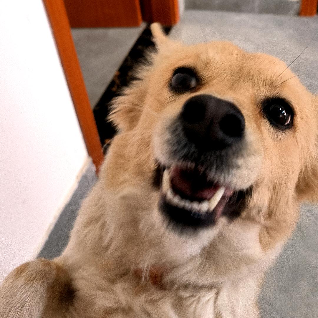 作业写完了