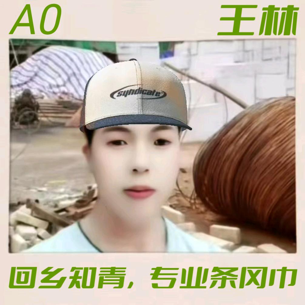 A0王林