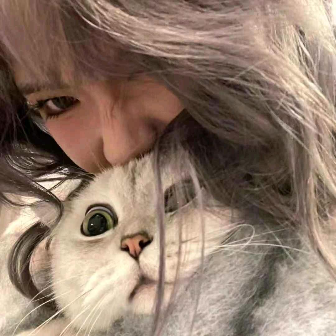 123，木头人