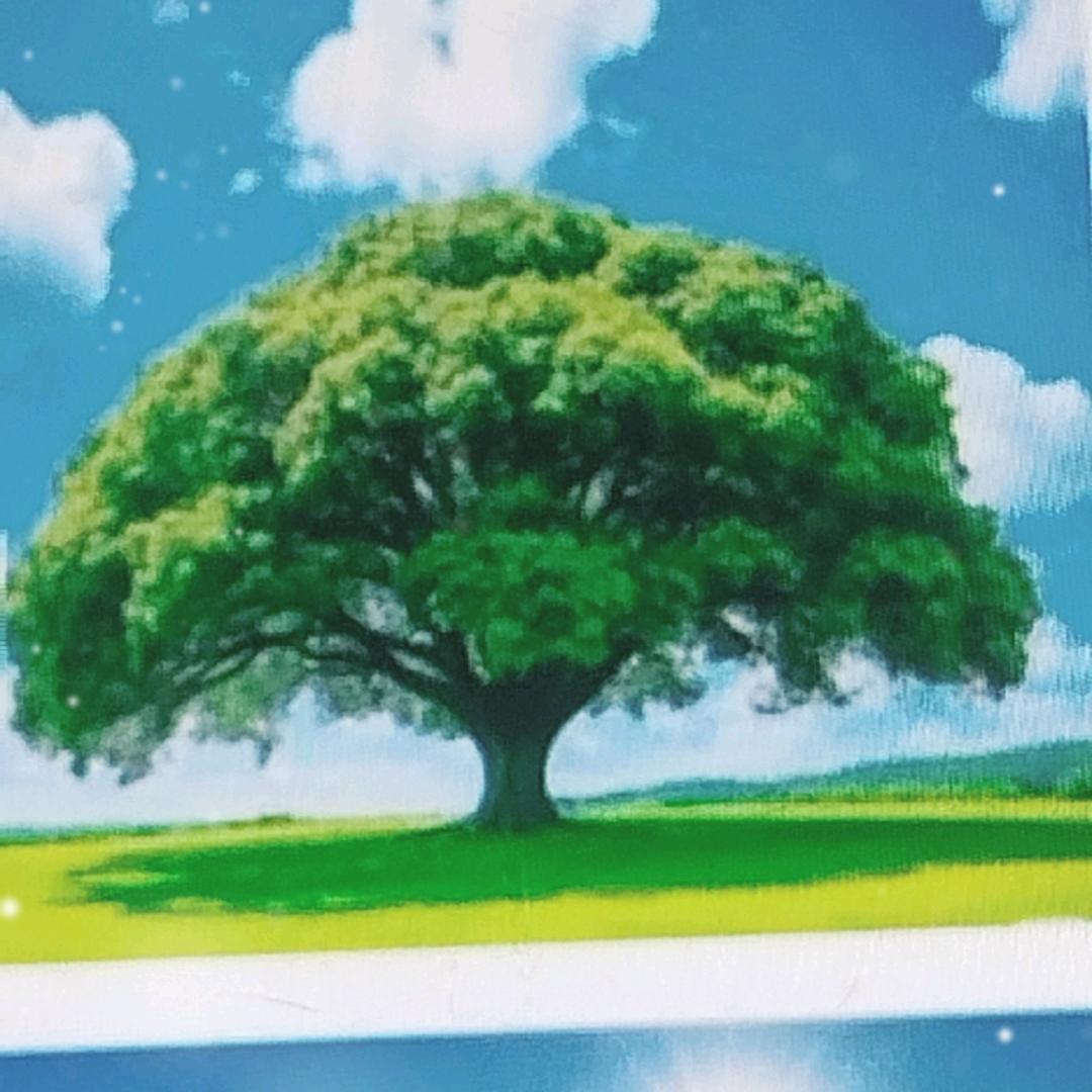 陈煜智