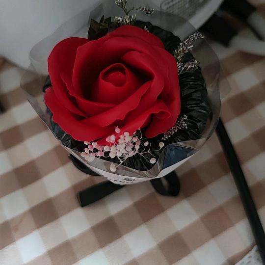 菩提树下一朵莲