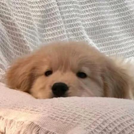 云汐月