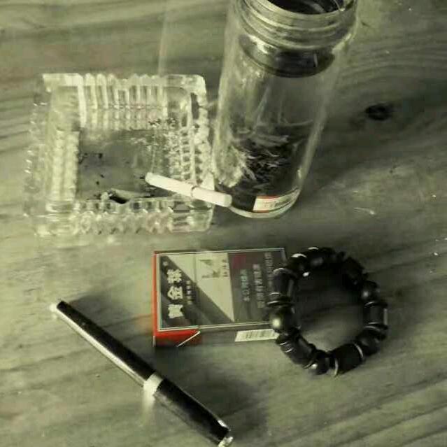 苏格·拉图（郑文静）