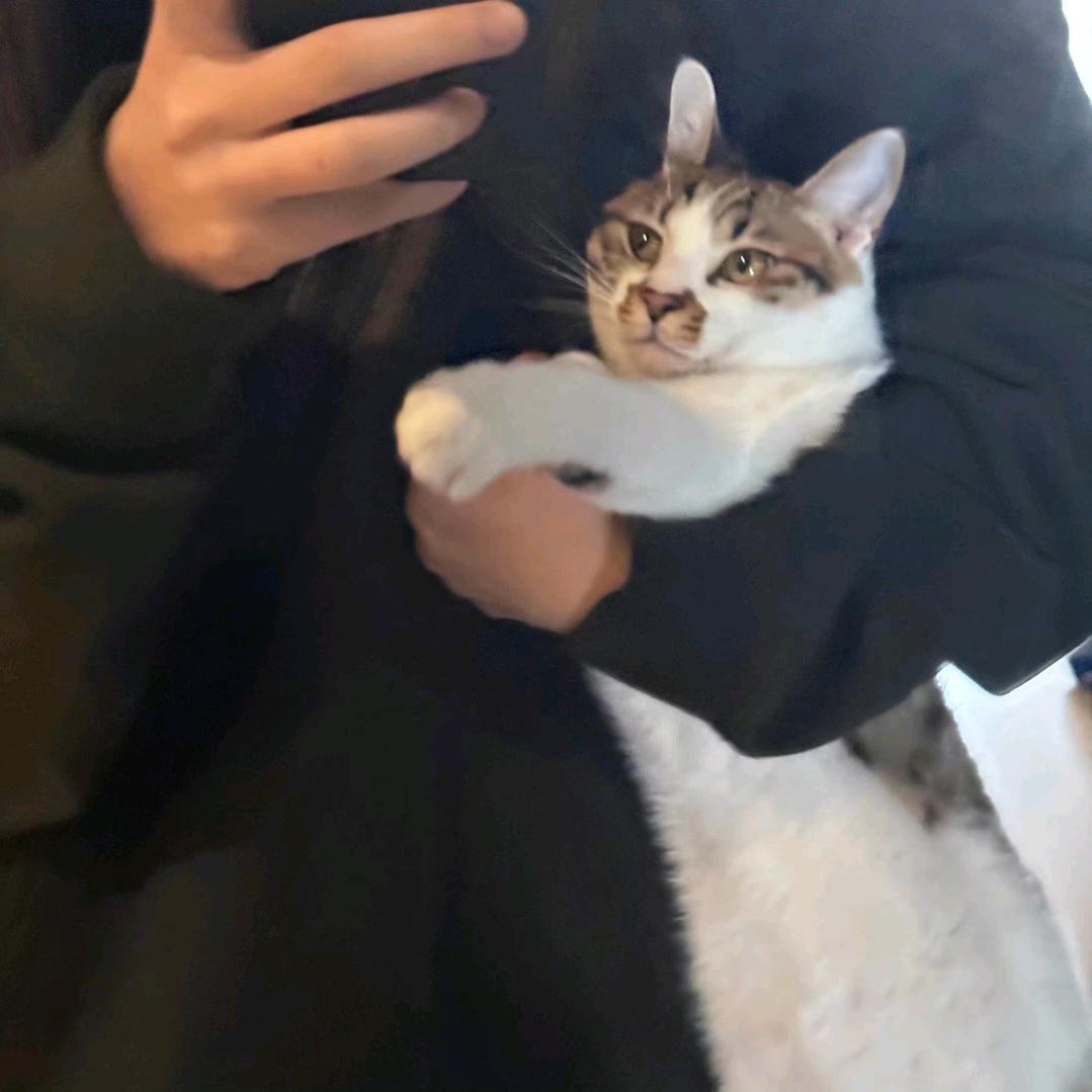 云栖