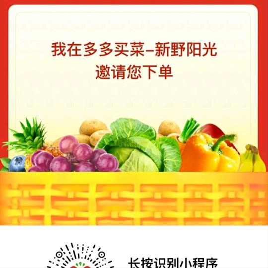 新野阳光