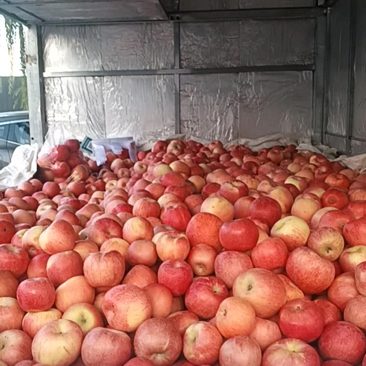 （～-～）……铠甲勇士……｛霸吧｝