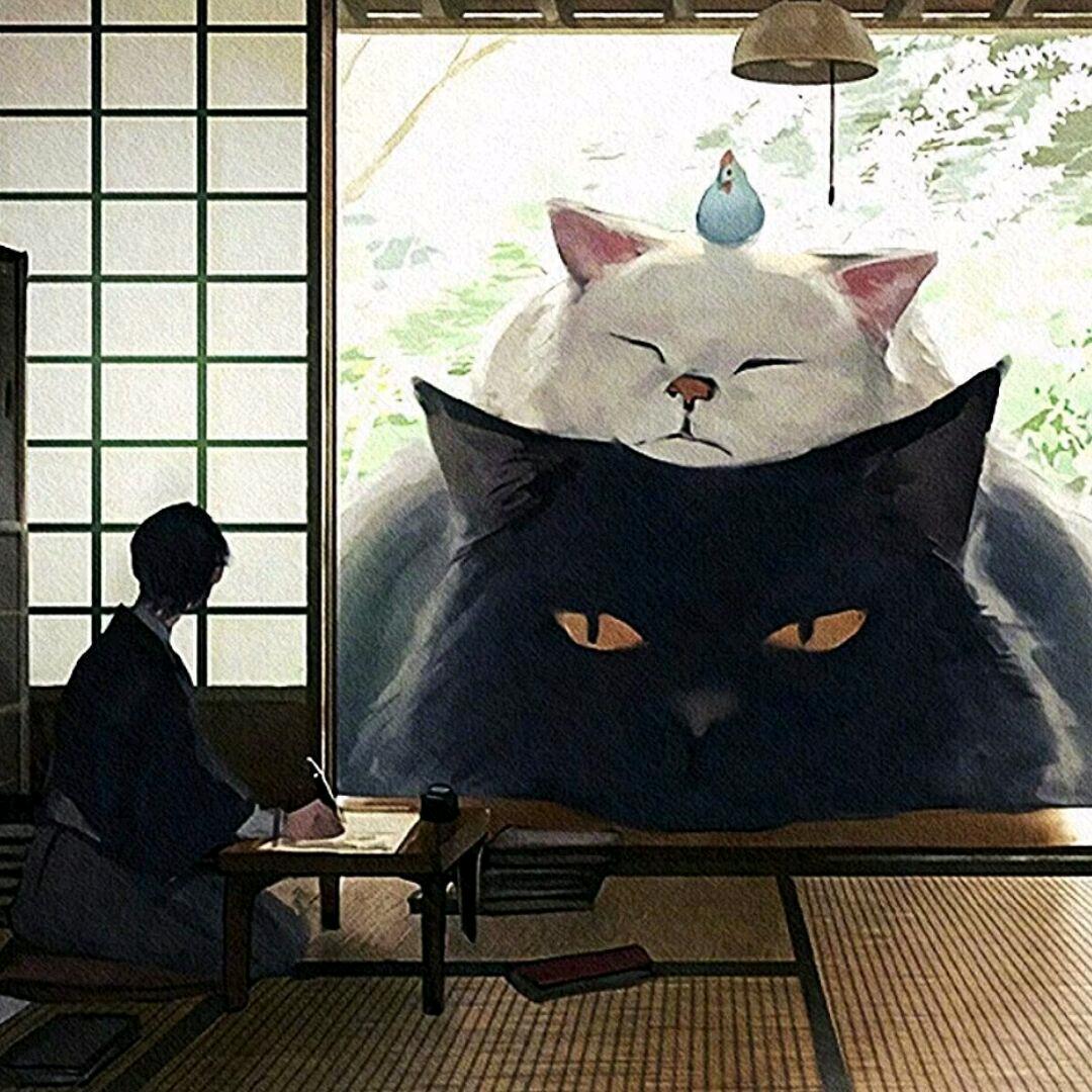 蔡小羊❄️