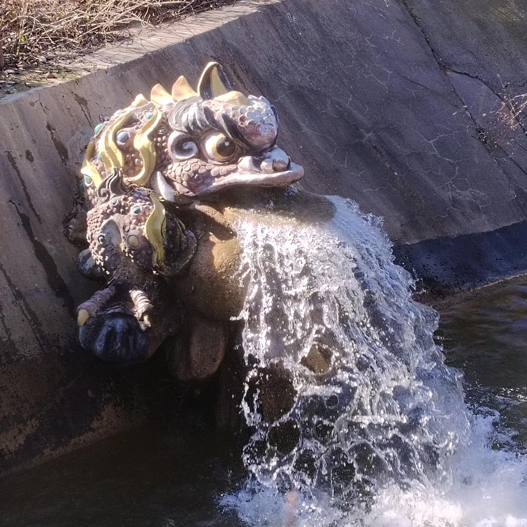 天南地北滕州人