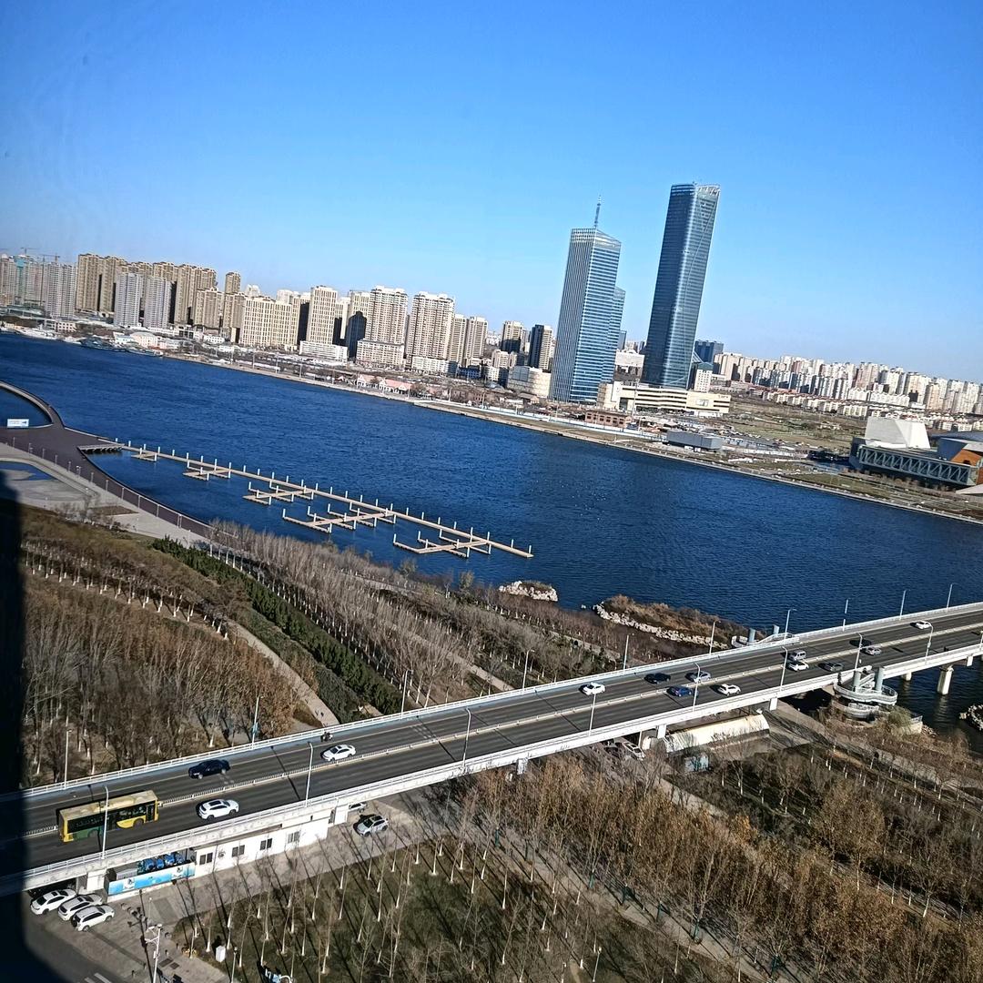 天天摸鱼