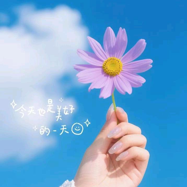 🌸🌸