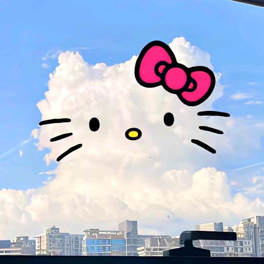 爱吃小鱼干的猫
