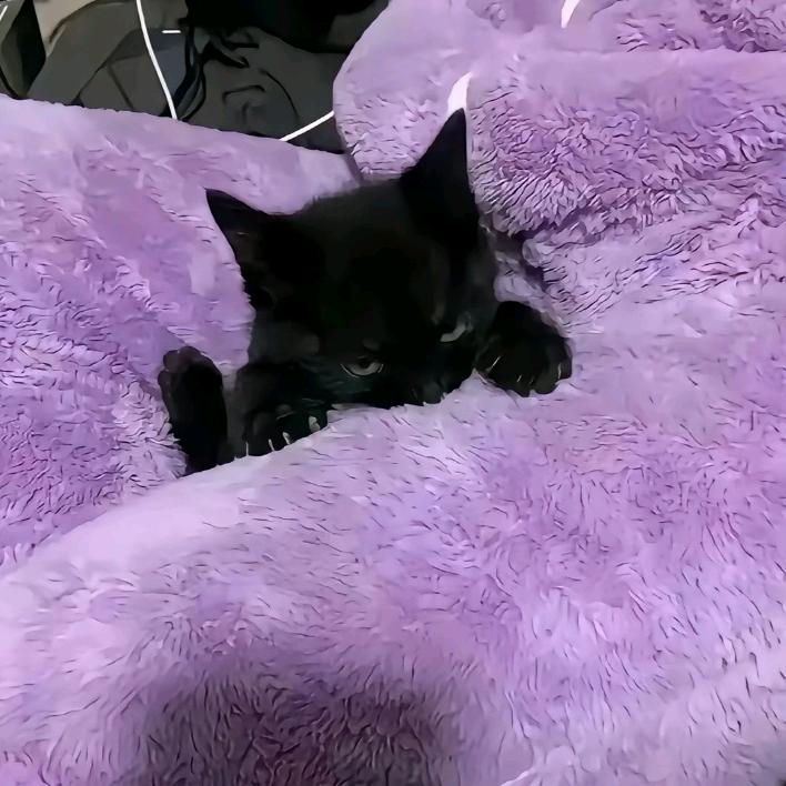 手机绑架受害者