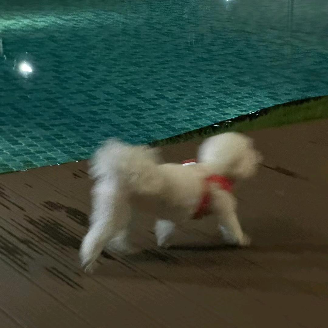 上海徐房—诚信经营