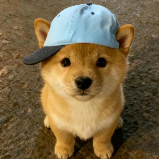 Yuii