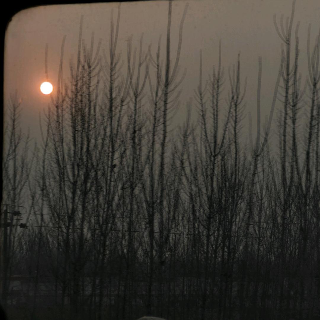 吃不了一点苦回家喝奶茶