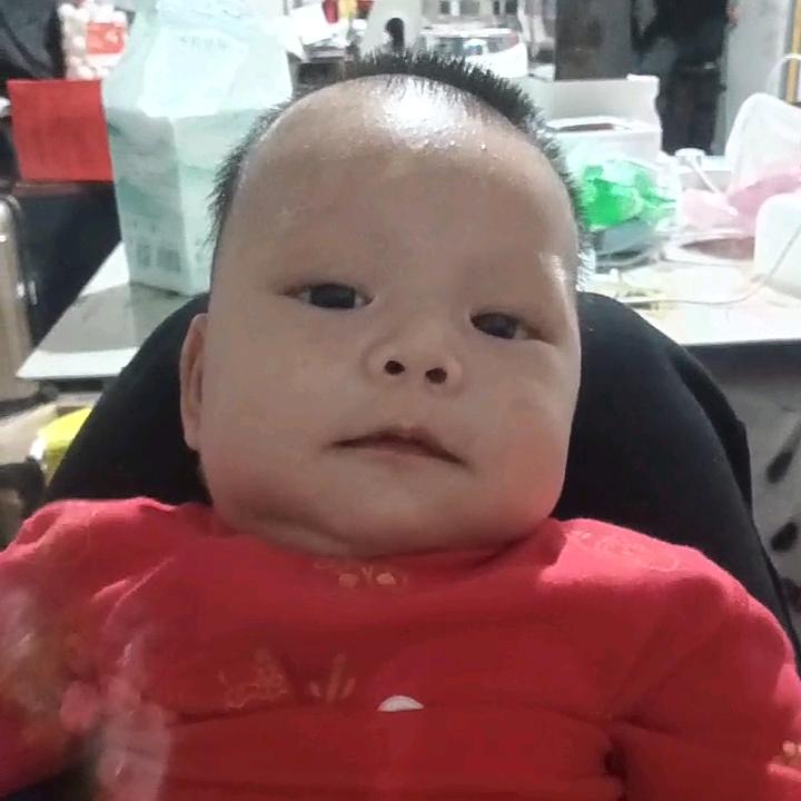 一只小青蛙挖呀挖呀挖