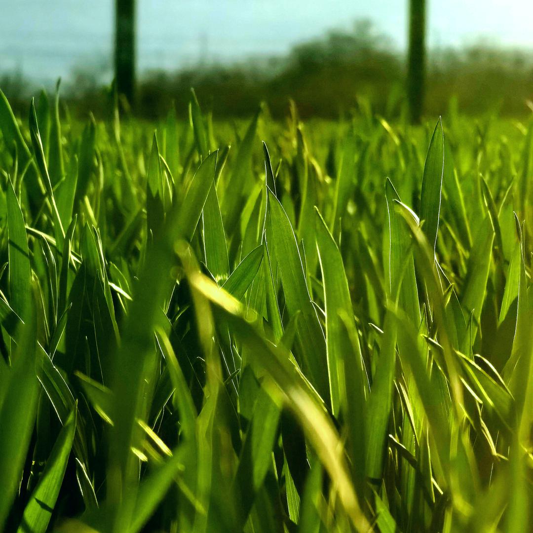 山村小橘文旅优品店