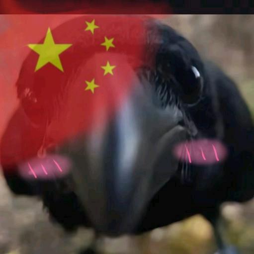 理健同学