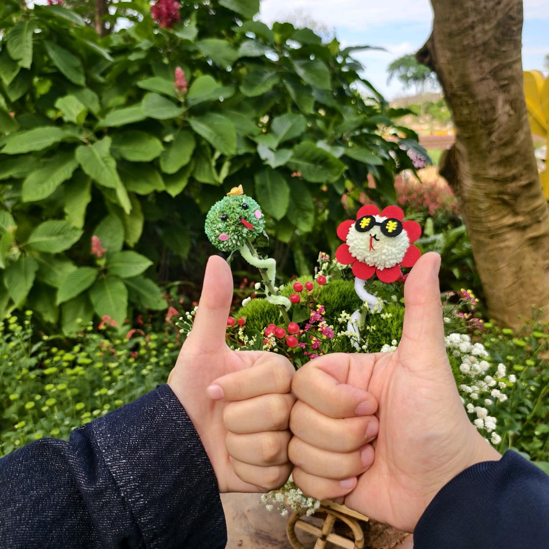 楊幸運