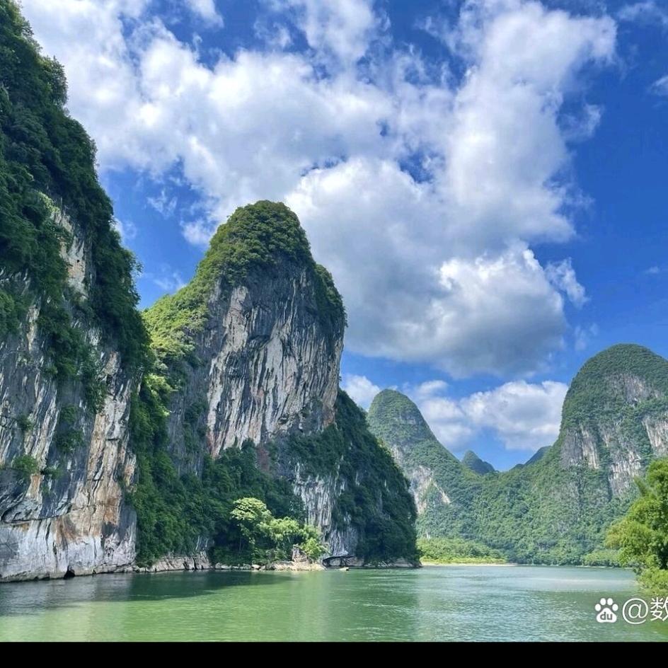 凡心所向素履以往