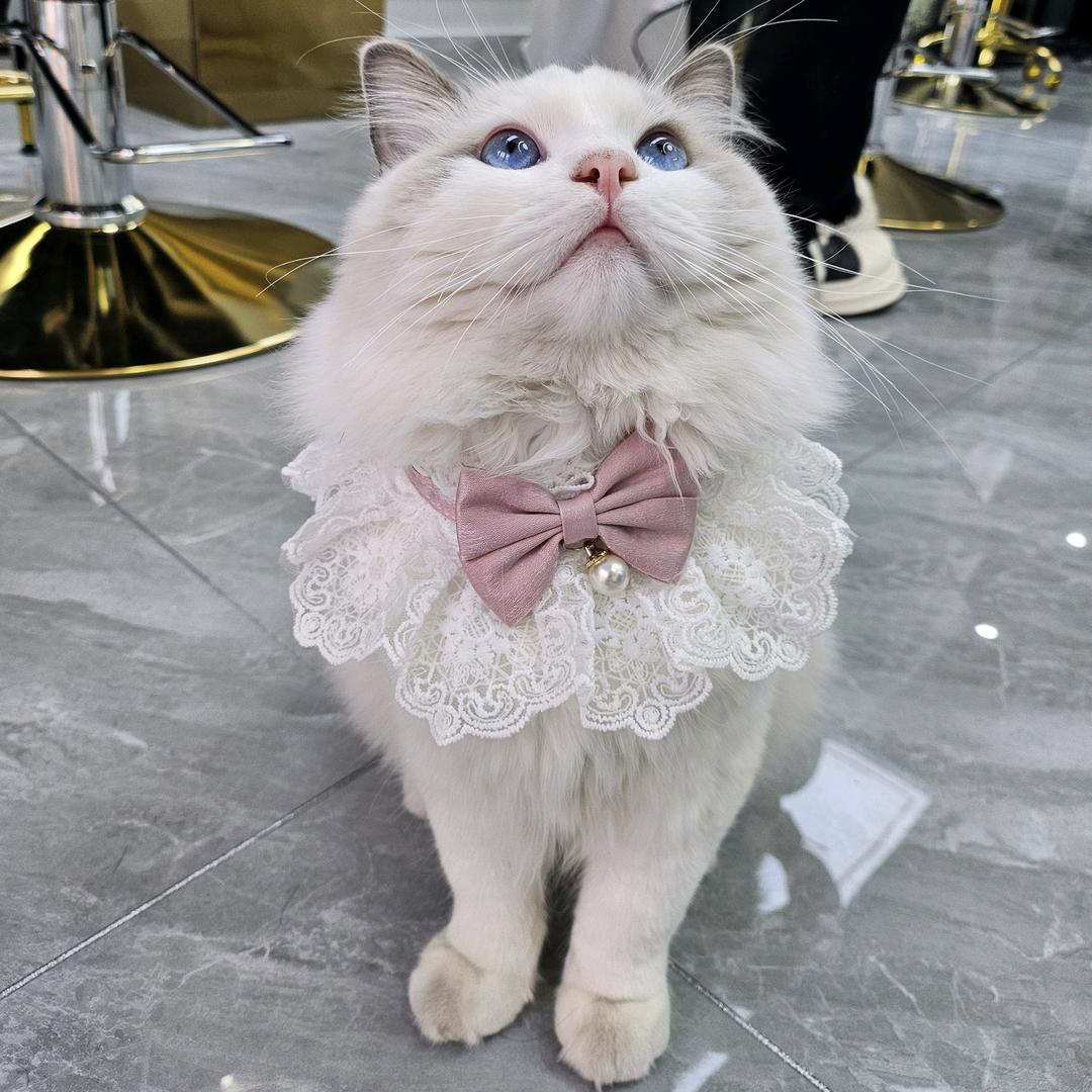 曹子衿(百货店）