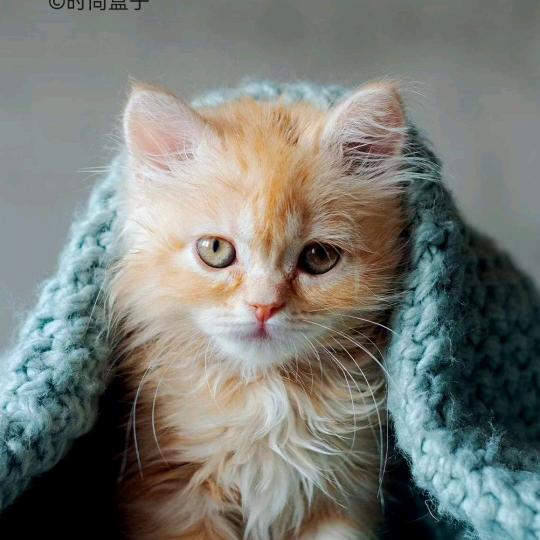 零