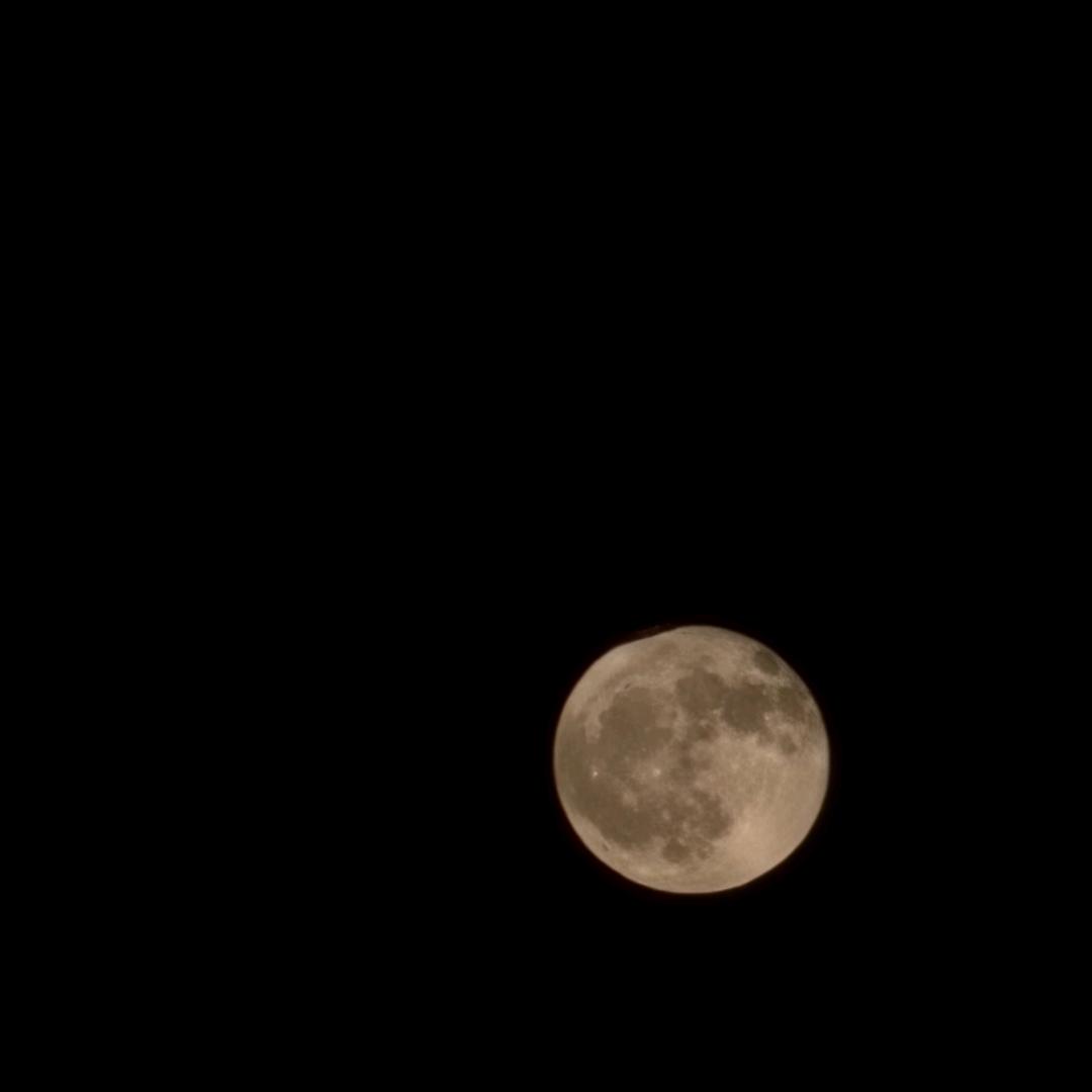 近期有371人访问过你的主页