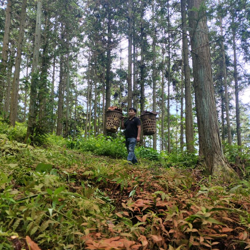 水乡遇滋灵山货出山