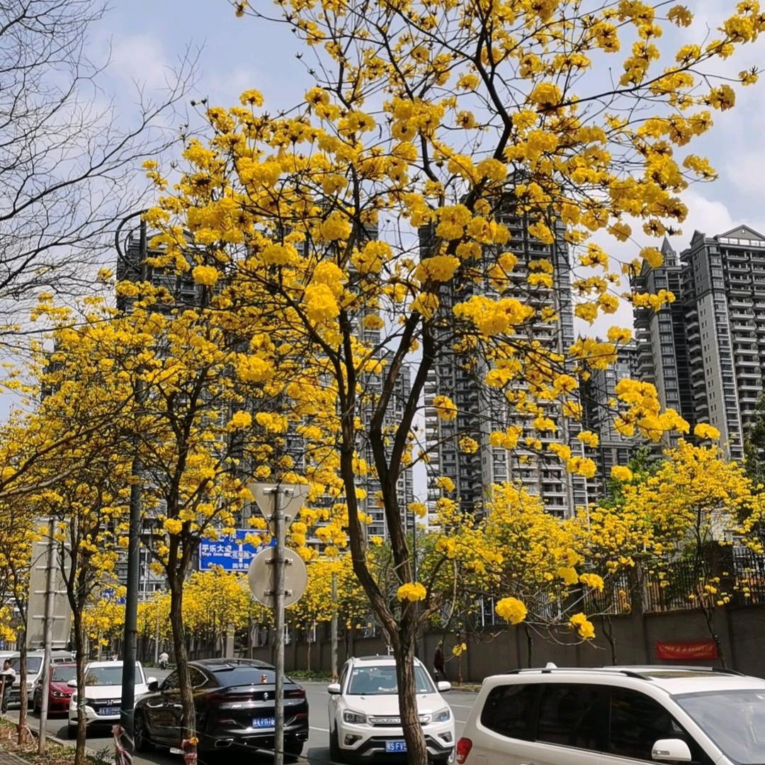 小风拍车